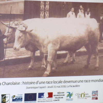 Saison 2018